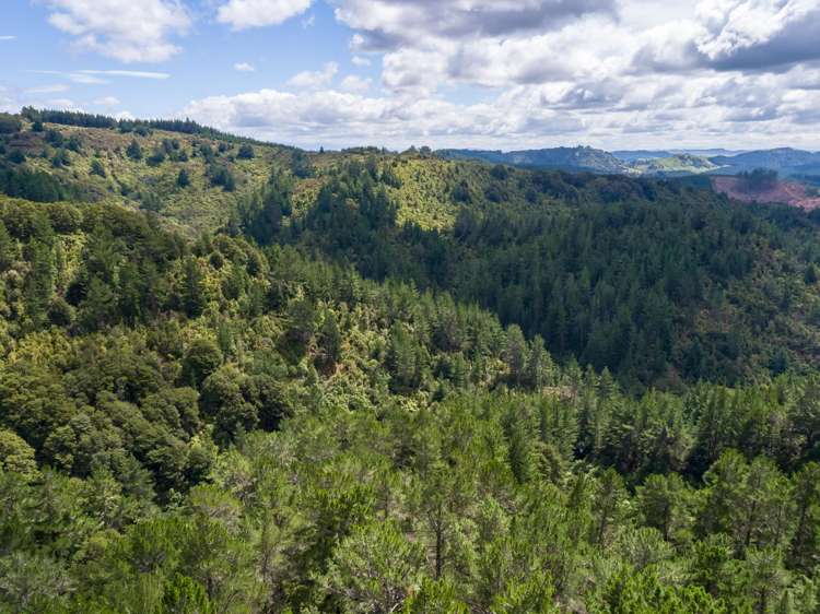 939 Kaiwhata Road Te Wharau_20