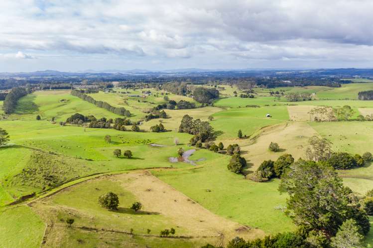 460 Pungaere Road Kerikeri Surrounds_21