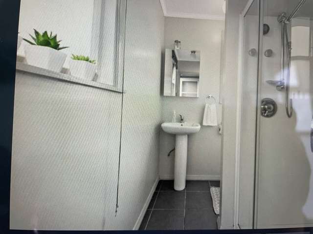Bedsit/30 Rimutaka Street Trentham_4