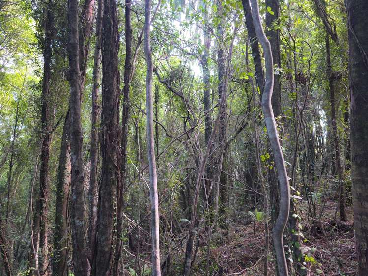 Ballarat Rise Awatuna_9