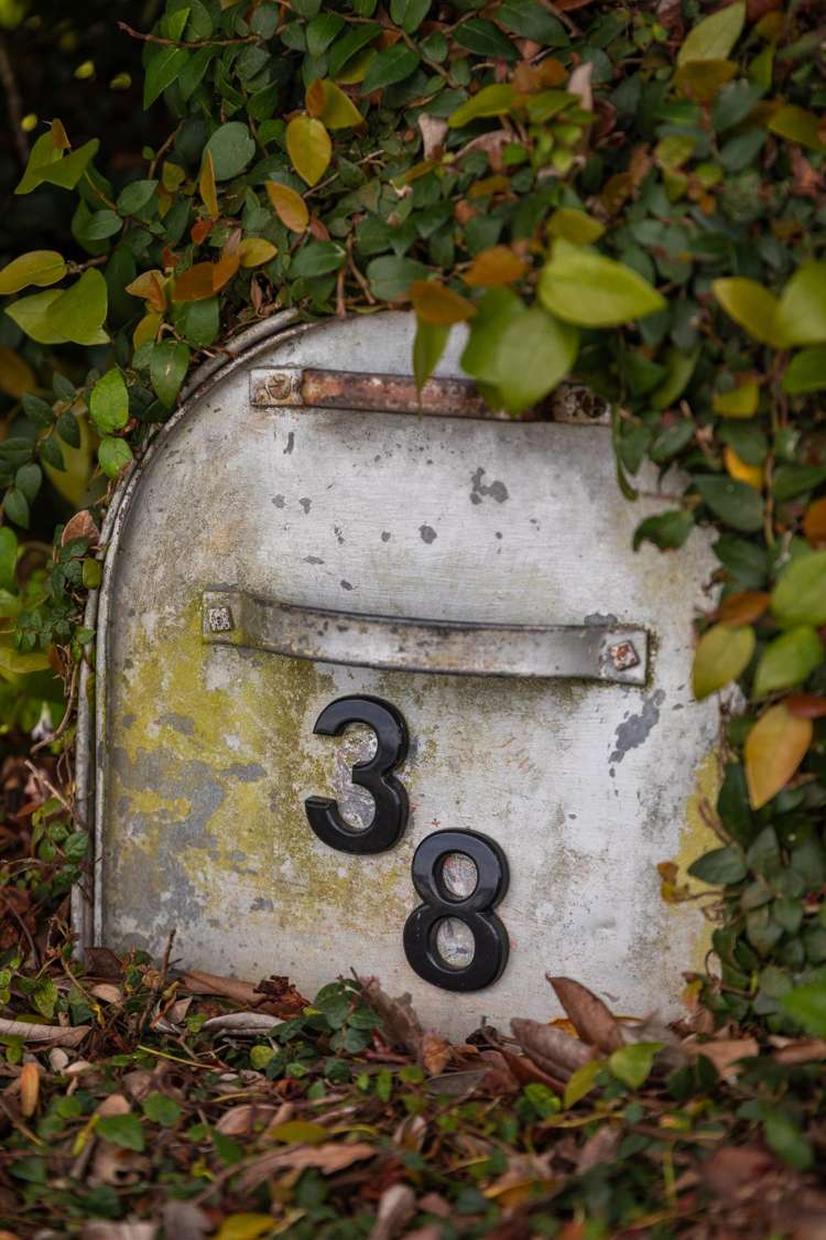 38 Towers Street Paeroa_28