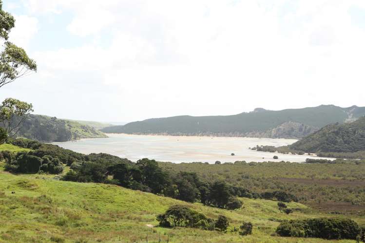 Puhata Road Herekino_23