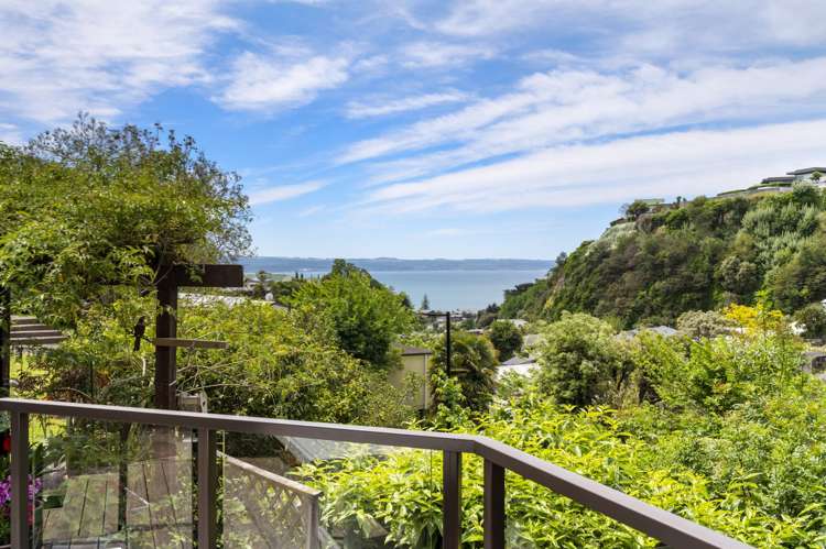 74 and 76 Milton Road Bluff Hill_18