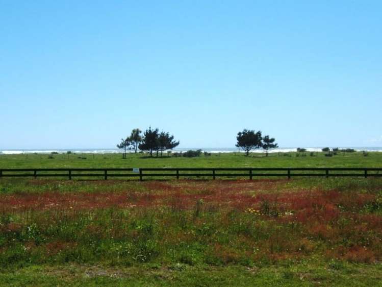 21 Elley Drive Carters Beach_4