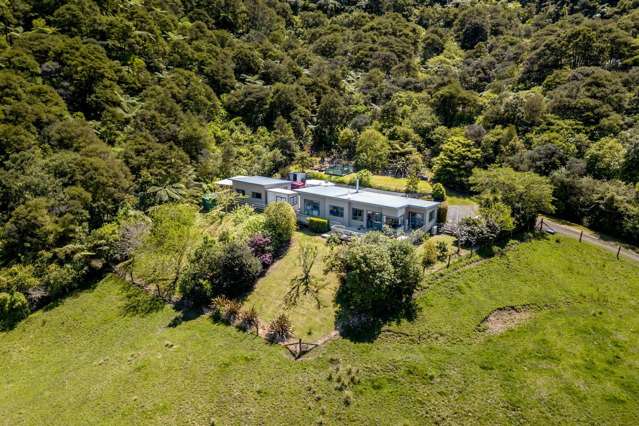 5 Tapu Creek Farms Tapu_2