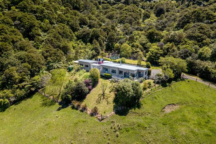 5 Tapu Creek Farms_2