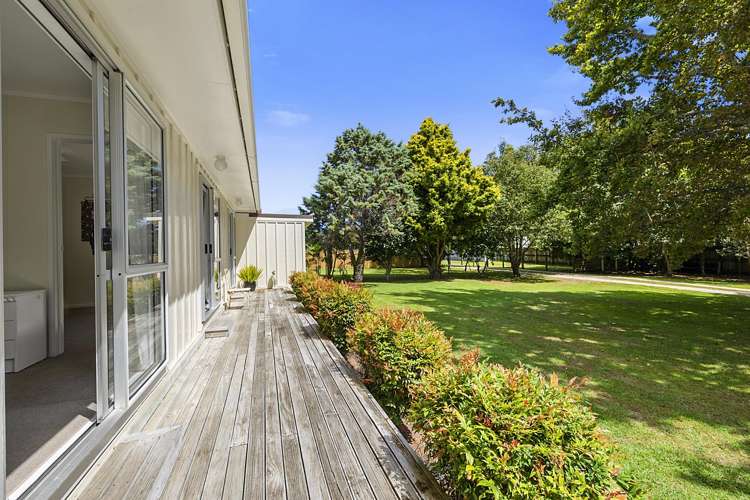 359a Tukapa Street Hurdon_20