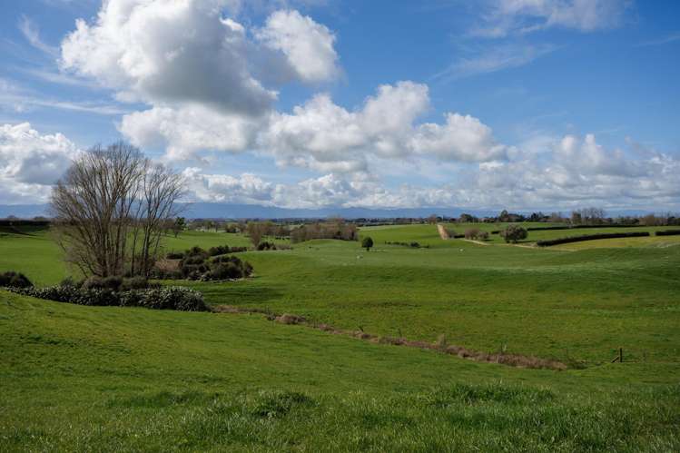 180 Cameron Road Morrinsville_17