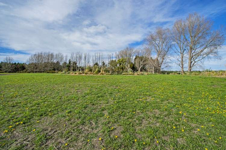 Lower Lake Road Leeston_11