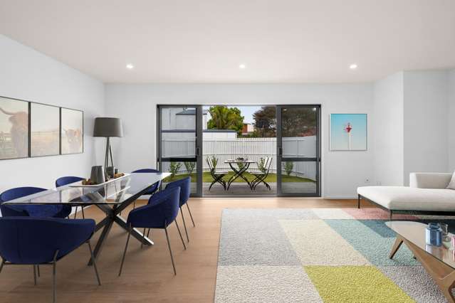 102b Auckland Road Greenmeadows_1