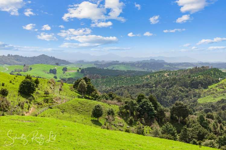 232 Arcadia Road Paparoa_3