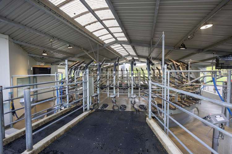 354 Kumuiti Road Fordell_14