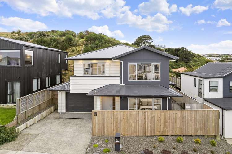 22 Domett Street Newlands_0