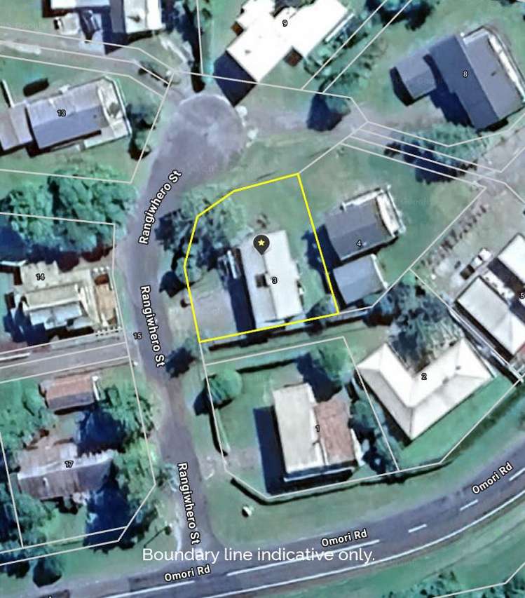 3 Rangiwhero Street Omori_25