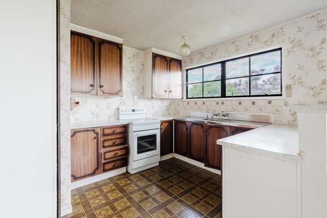 39 Cowley Drive Temple View_2