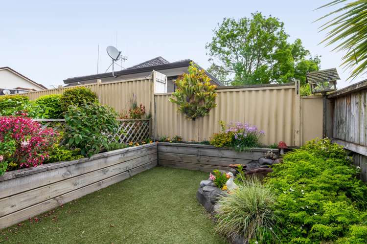 56b Anglesea Street Hamilton Central_7
