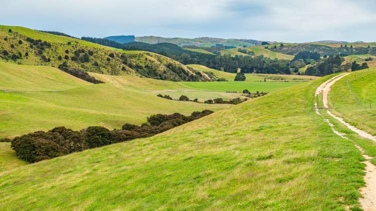 48 Heathfield Road Greta Valley_17