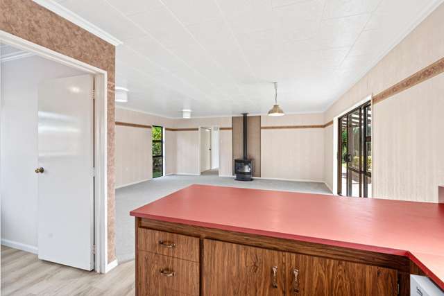 20a Regal Street Levin_4