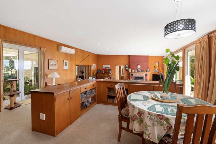 162 Ara-Kotinga Whitford_17