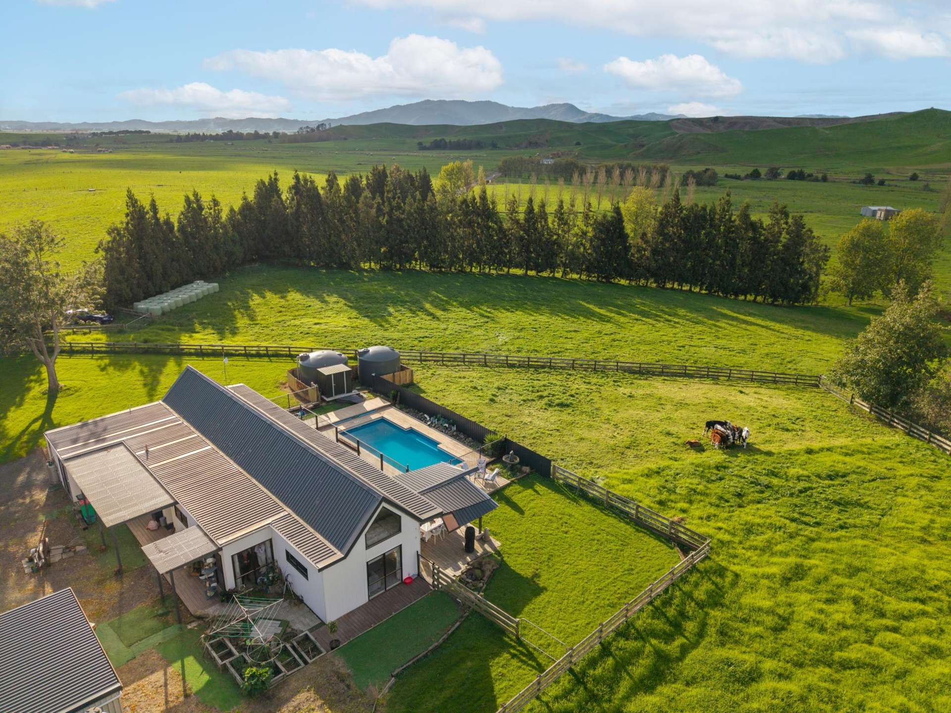216 Manuel Road Morrinsville_0