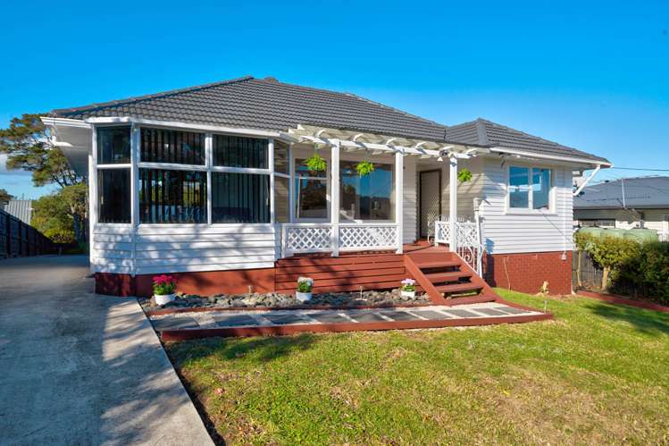 28 Taupo Street Green Bay_16