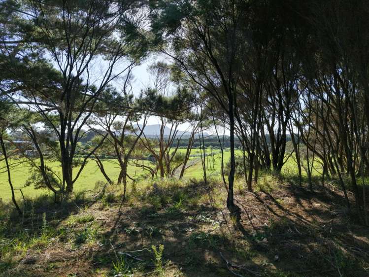 212C Whalers Road Pukenui_19