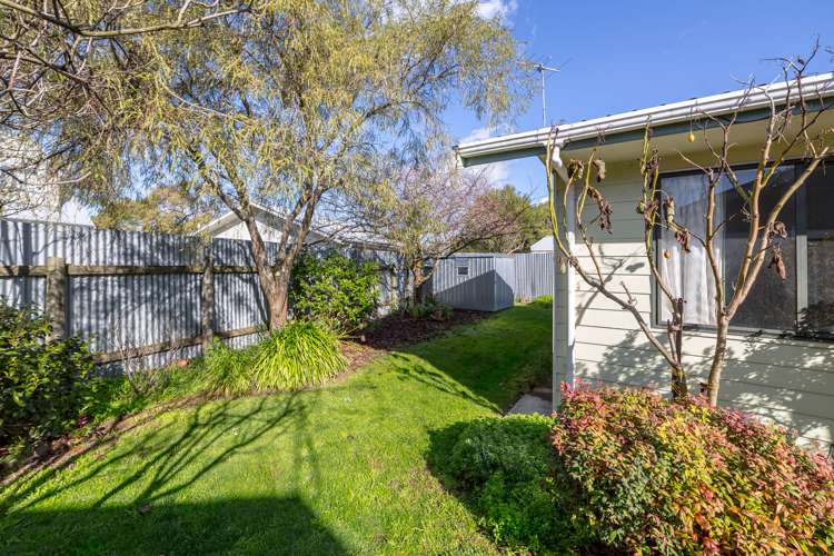 19D Harley Street Masterton_12