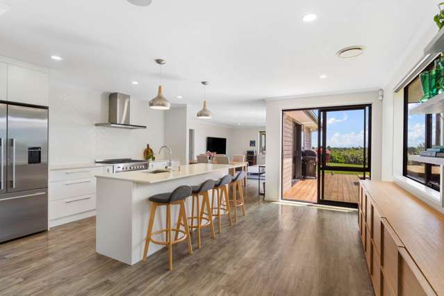 14 Papaview Road Papakura_3