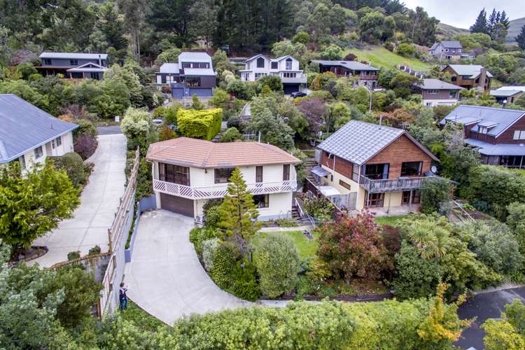 131 Sumnervale Drive Sumner_19