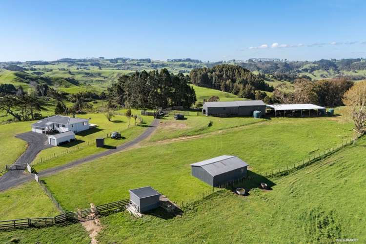 215 Allen and Eyre Road Onewhero_1