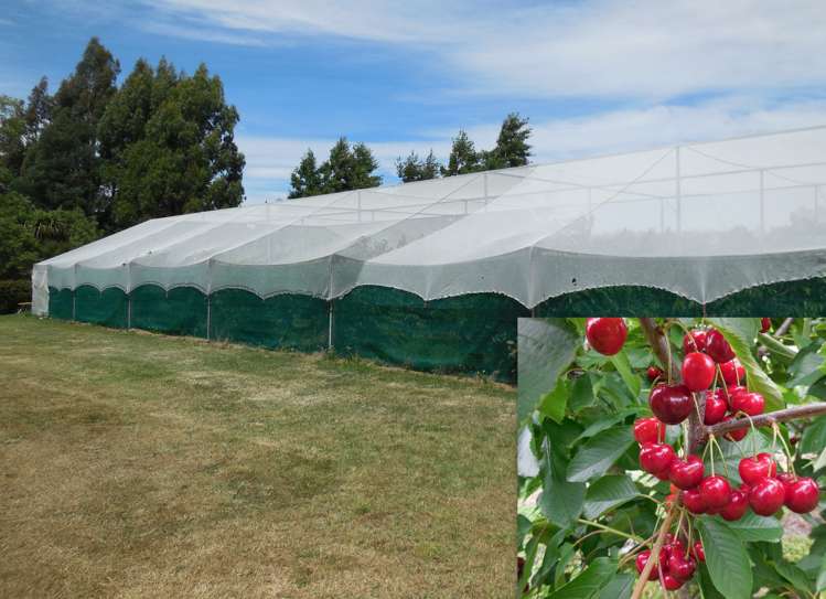 46 Torlesse Road West Melton_14