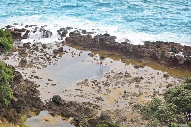 346 Gray Road Great Barrier Island (Aotea Island)_26