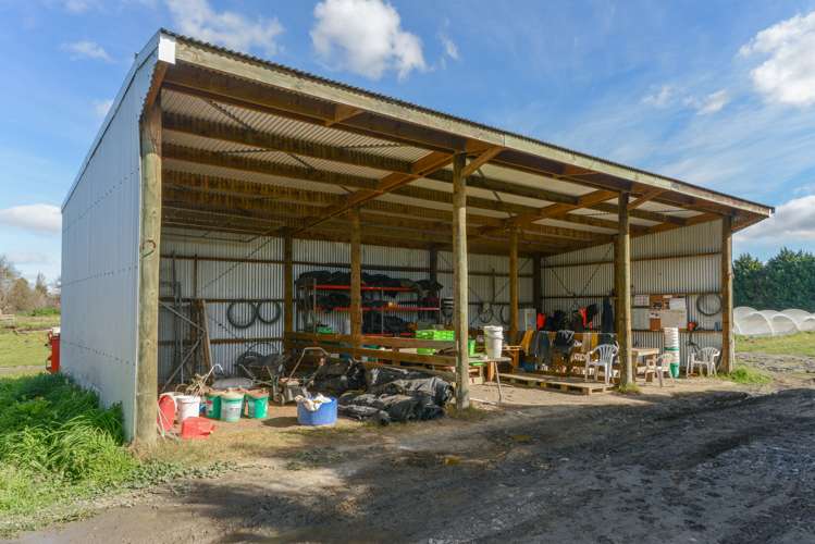 23 Johns Road Jervoistown_17