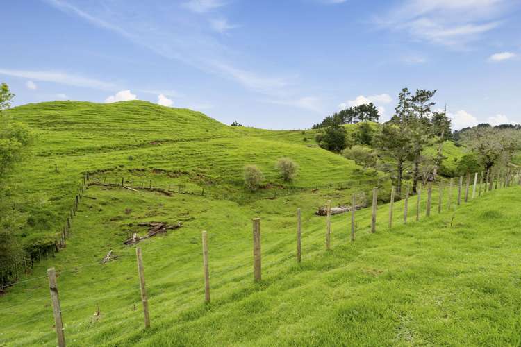 347 Standish Road Stratford_17