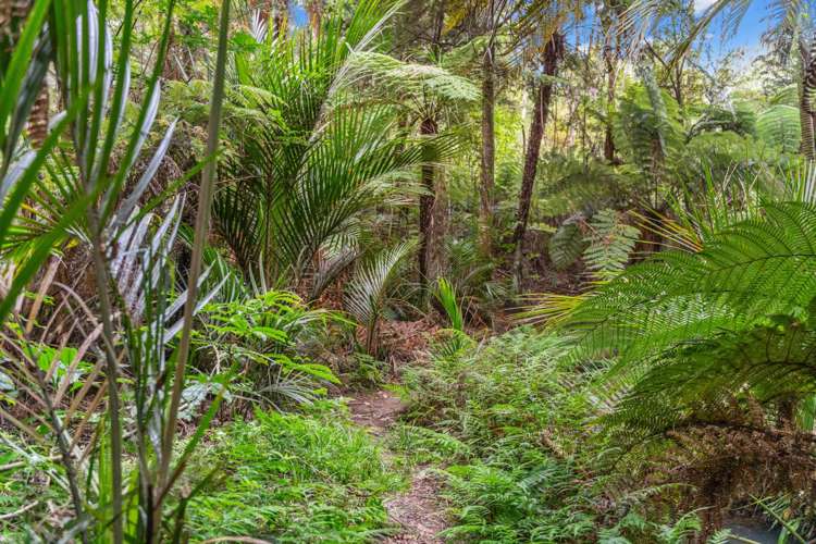40 Olive Grove Mangawhai_48