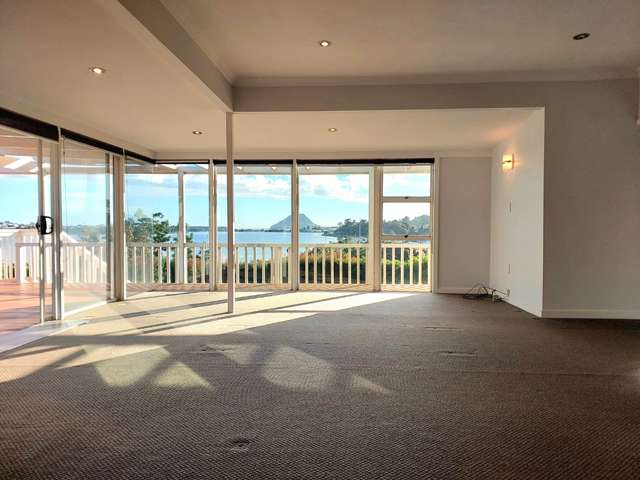 113 Fourth Avenue Tauranga Central_4