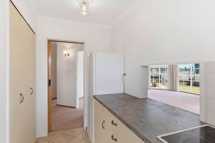 22 Roosevelt Street Levin_25