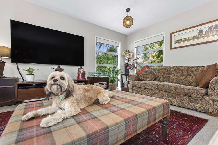 9a Elizabeth Street Beerescourt_13