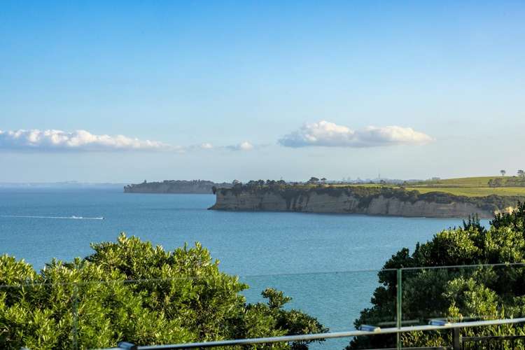 57 Hawaiian Parade_2