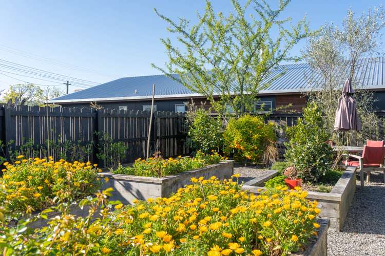 41 Reading Street Greytown_13