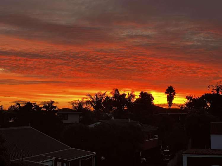 154 Carnoustie Drive Wattle Downs_29