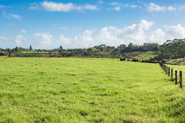 Waipapa Road Kerikeri_4