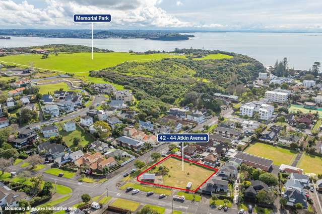 42-44 Atkin Avenue Mission Bay_3