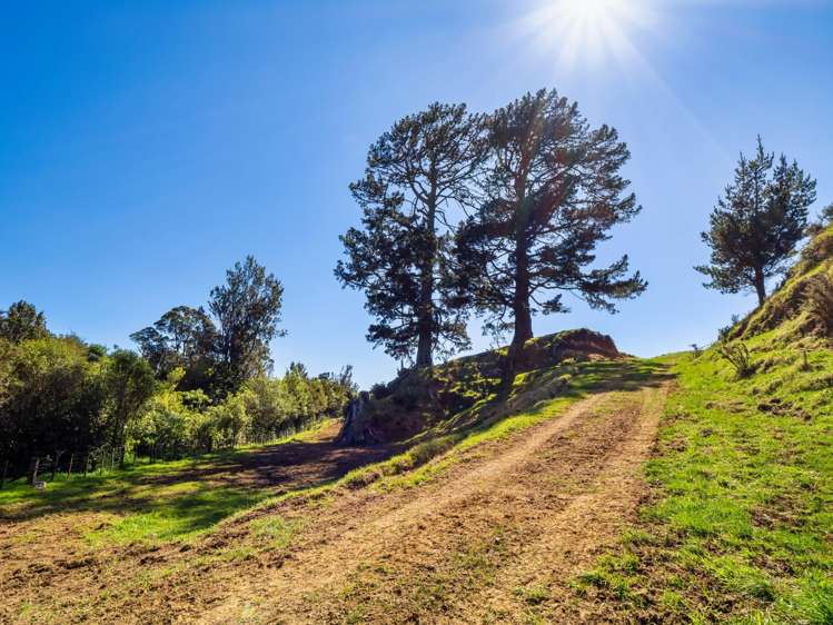 383 Busby Road Katikati_37