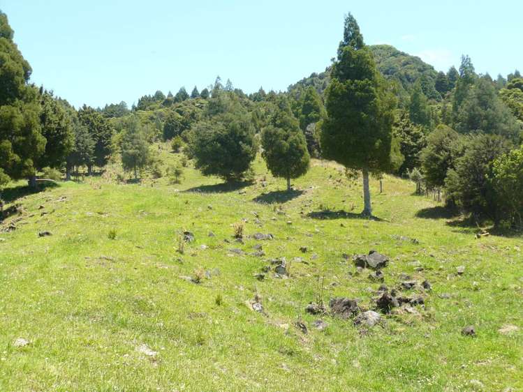 213 Matawherohia Road Kaeo_15