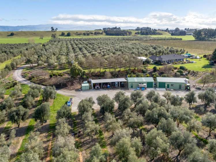 244 Dakins Road East Taratahi_7