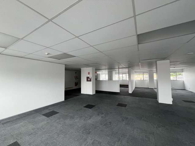 39 Webb Street, Te Aro Mt Cook_3