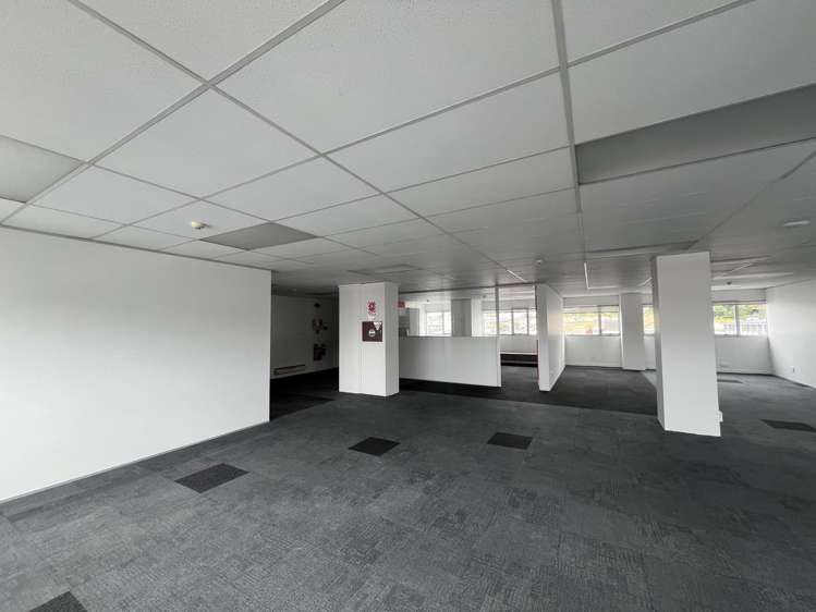 39 Webb Street, Te Aro Mt Cook_3