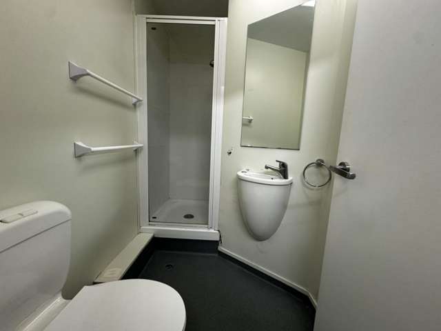  B/124 Kaharoa Road Te Aro_3