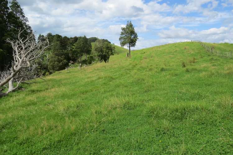 Church Road Kaitaia_20